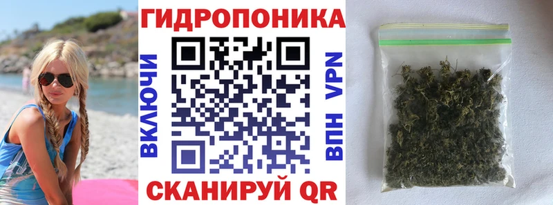 сайты даркнета телеграм ОМГ ОМГ вход Кущёвская где продают Бошки Шишки сатива